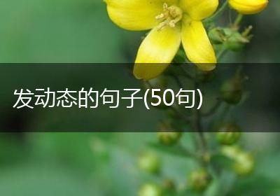 发动态的句子(50句)