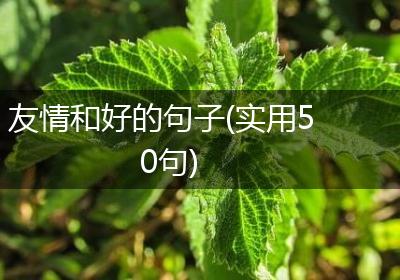 友情和好的句子(实用50句)