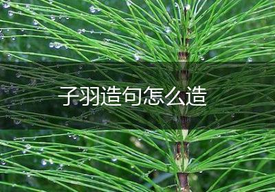子羽造句怎么造