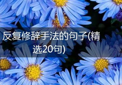 反复修辞手法的句子(精选20句)