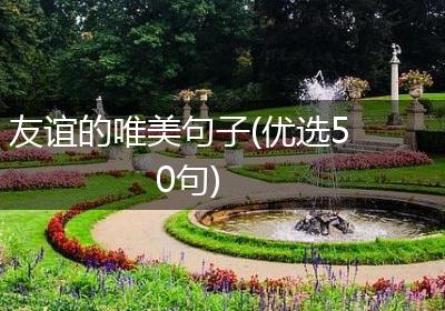 友谊的唯美句子(优选50句)