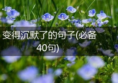 变得沉默了的句子(必备40句)