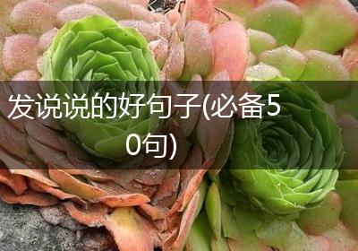 发说说的好句子(必备50句)