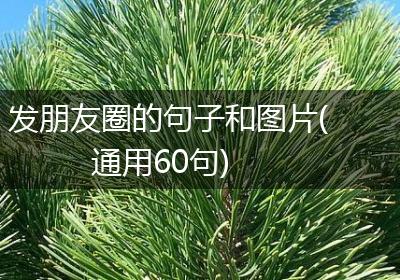 发朋友圈的句子和图片(通用60句)