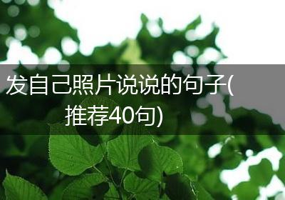 发自己照片说说的句子(推荐40句)