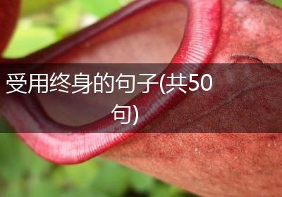 受用终身的句子(共50句)