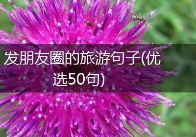 发朋友圈的旅游句子(优选50句)