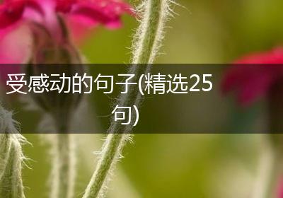 受感动的句子(精选25句)