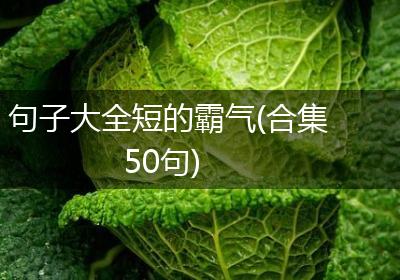 句子大全短的霸气(合集50句)