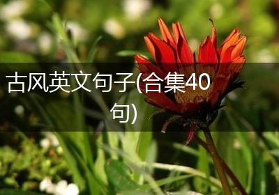 古风英文句子(合集40句)