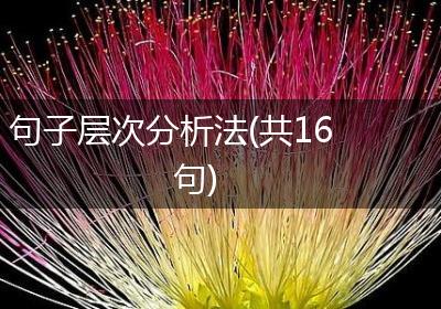 句子层次分析法(共16句)