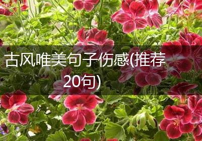 古风唯美句子伤感(推荐20句)