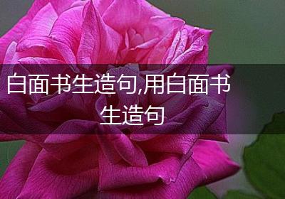 白面书生造句,用白面书生造句