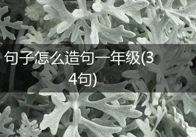 句子怎么造句一年级(34句)