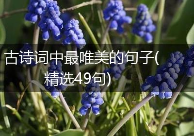 古诗词中最唯美的句子(精选49句)