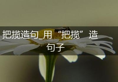 把揽造句_用“把揽”造句子
