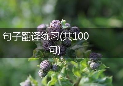 句子翻译练习(共100句)