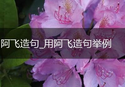 阿飞造句_用阿飞造句举例