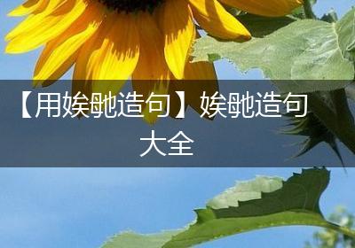 【用娭毑造句】娭毑造句大全