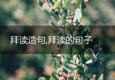 拜读造句,拜读的句子