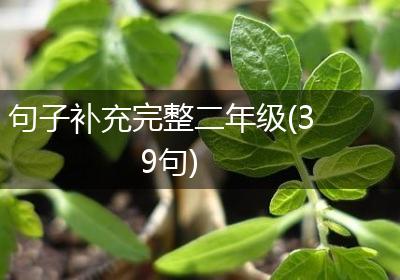 句子补充完整二年级(39句)