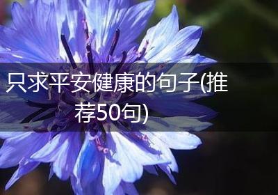 只求平安健康的句子(推荐50句)