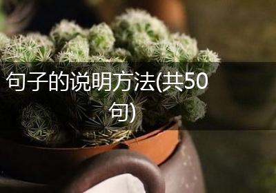 句子的说明方法(共50句)