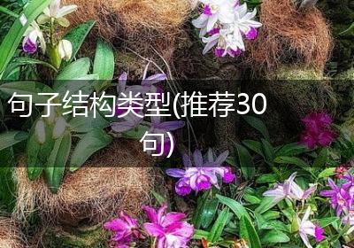 句子结构类型(推荐30句)