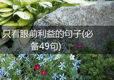 只看眼前利益的句子(必备49句)
