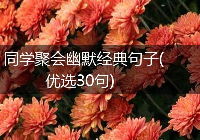 同学聚会幽默经典句子(优选30句)