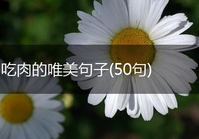 吃肉的唯美句子(50句)