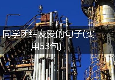 同学团结友爱的句子(实用53句)
