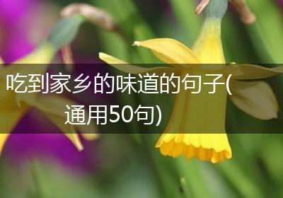 吃到家乡的味道的句子(通用50句)