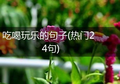 吃喝玩乐的句子(热门24句)