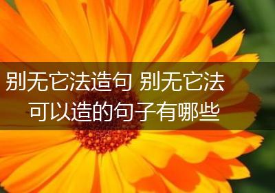 别无它法造句 别无它法可以造的句子有哪些
