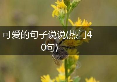 可爱的句子说说(热门40句)