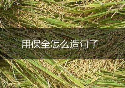 用保全怎么造句子