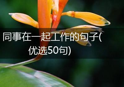 同事在一起工作的句子(优选50句)
