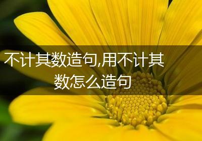 不计其数造句,用不计其数怎么造句