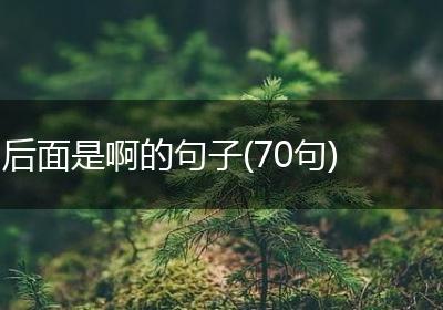 后面是啊的句子(70句)
