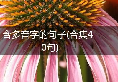 含多音字的句子(合集40句)