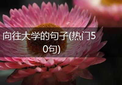 向往大学的句子(热门50句)