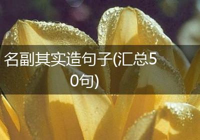 名副其实造句子(汇总50句)