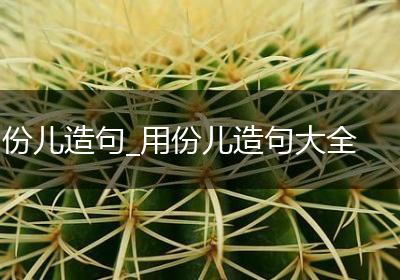 份儿造句_用份儿造句大全