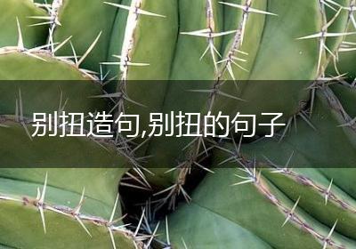 别扭造句,别扭的句子