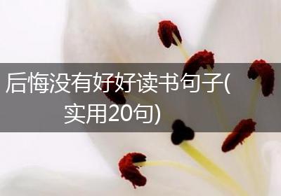 后悔没有好好读书句子(实用20句)