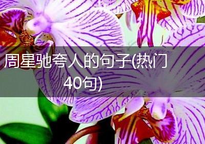 周星驰夸人的句子(热门40句)