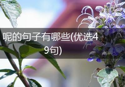 呢的句子有哪些(优选49句)