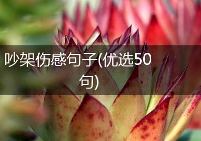 吵架伤感句子(优选50句)