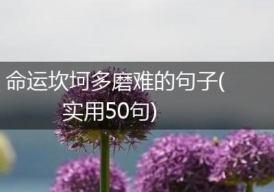 命运坎坷多磨难的句子(实用50句)